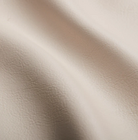 SP02 Leather Cream