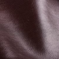SP06 Leather Brown